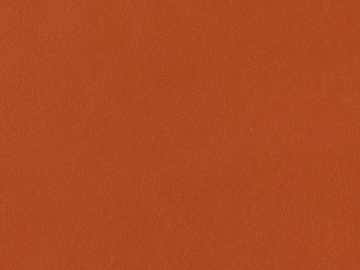 zib2010 5000 3333.jpg.700x525 q80 autocrop crop smart zoom 100 1