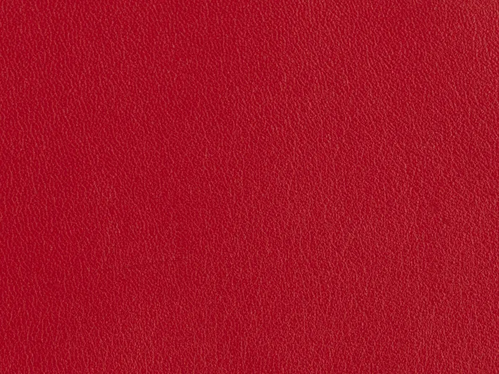 zib2012 5000 3333.jpg.700x525 q80 autocrop crop smart zoom 100 1