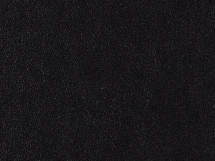 zib2013 5000 3333.jpg.700x525 q80 autocrop crop smart zoom 100 1