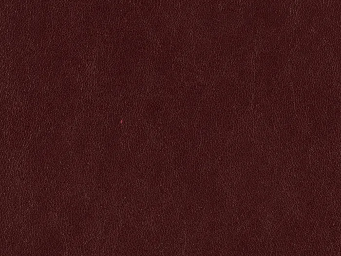 zib2014 5000 3333.jpg.700x525 q80 autocrop crop smart zoom 100 1