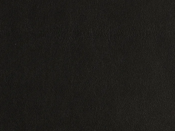 zib2016 5000 3333.jpg.700x525 q80 autocrop crop smart zoom 100 1